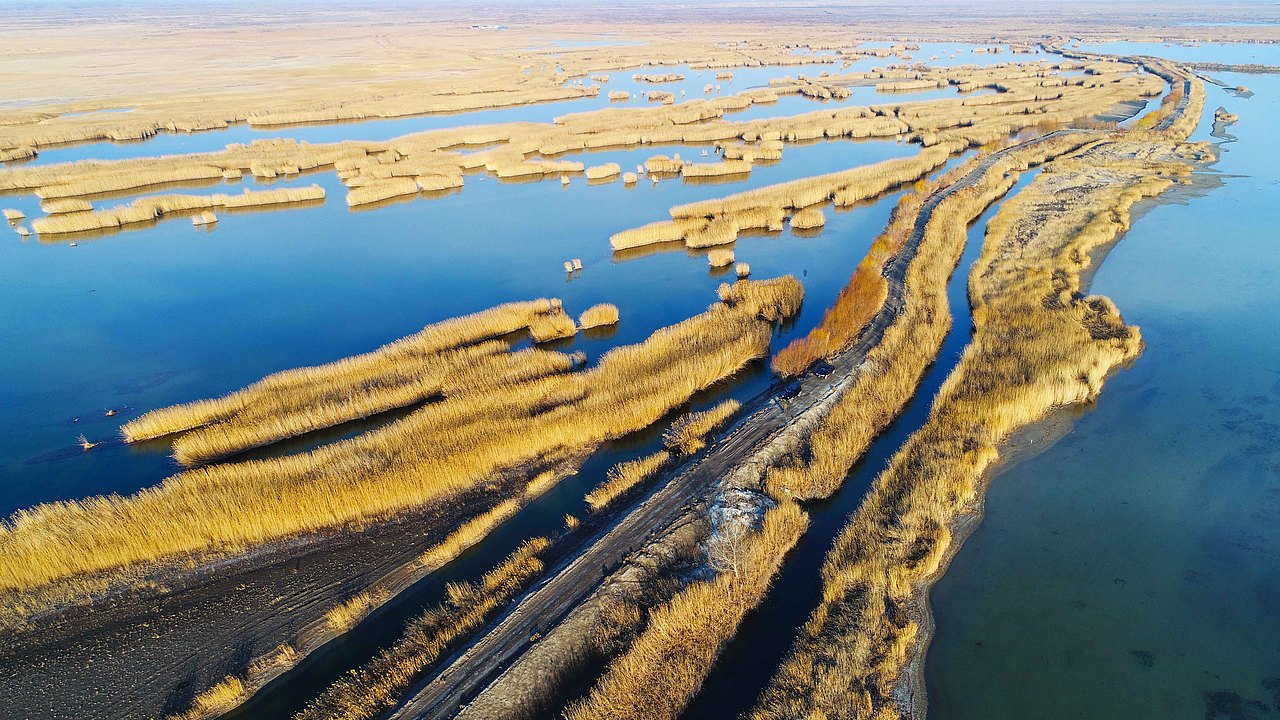 航拍下的艾比湖