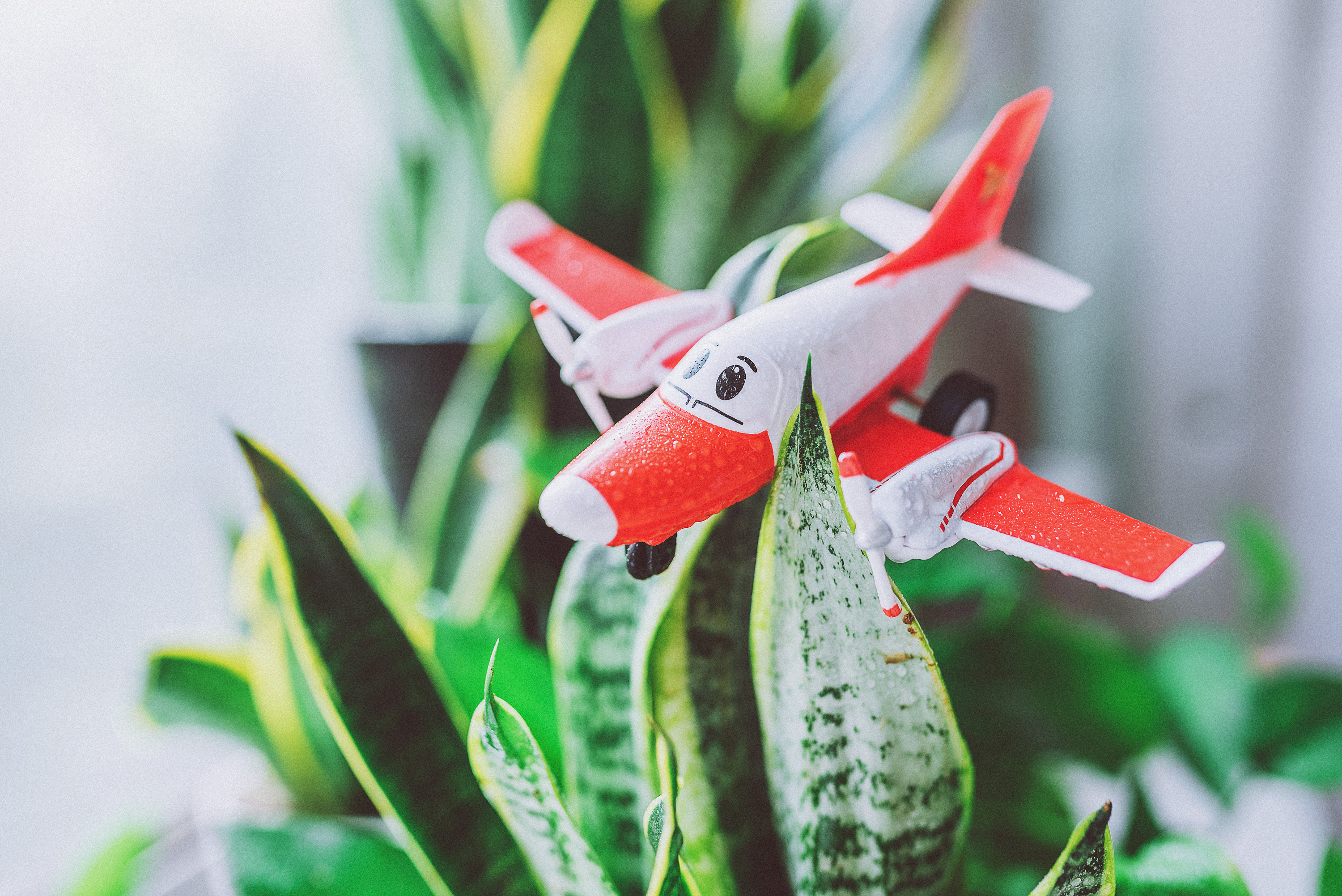 一些小物件|摄影|静物|婕爸 - 原创作品 - 站酷 (zcool)