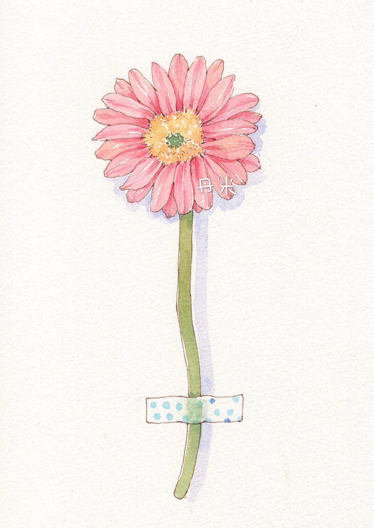 小清新 手绘插画钢笔淡彩花儿系列