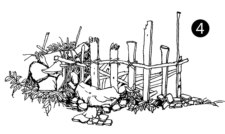 初学钢笔画！路边篱笆也能画出一幅画（原创）（图ZMTY5MDU5NTAw） - 绘画 - 站酷设计师陈红军原创素材 - 站酷ZCOOL