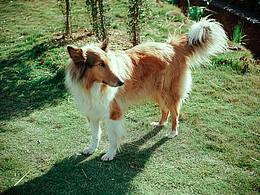 周二是个好日子