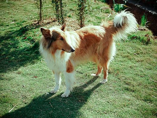 周二是个好日子