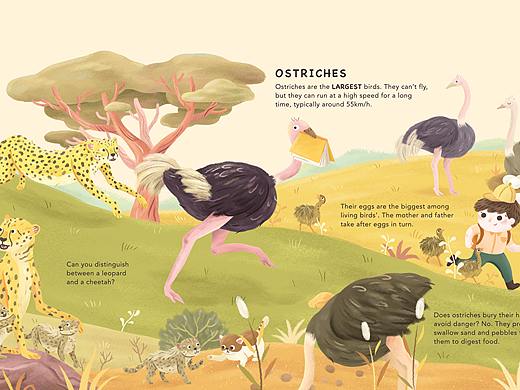 《A journey with African wildlife》科普类绘本