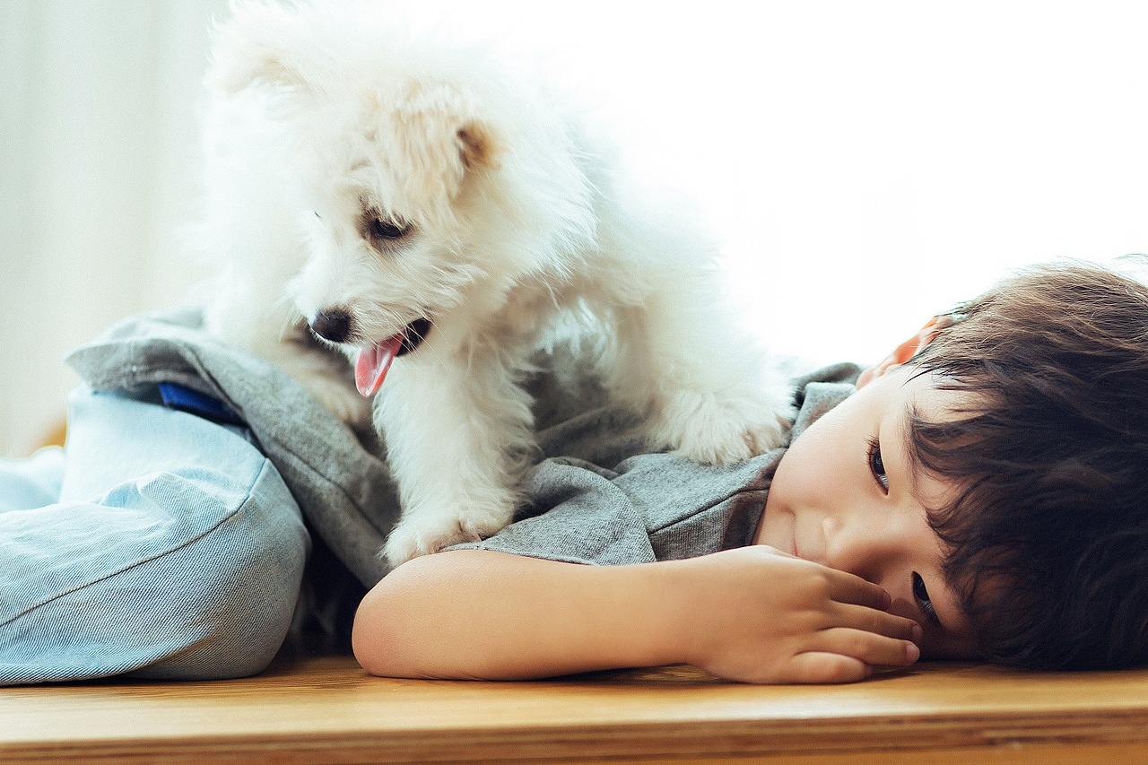 ONE DAY（图ZMjA5MDc4NzAw） - 宠物摄影 - 站酷设计师摄影师鹿行风原创素材 - 站酷ZCOOL