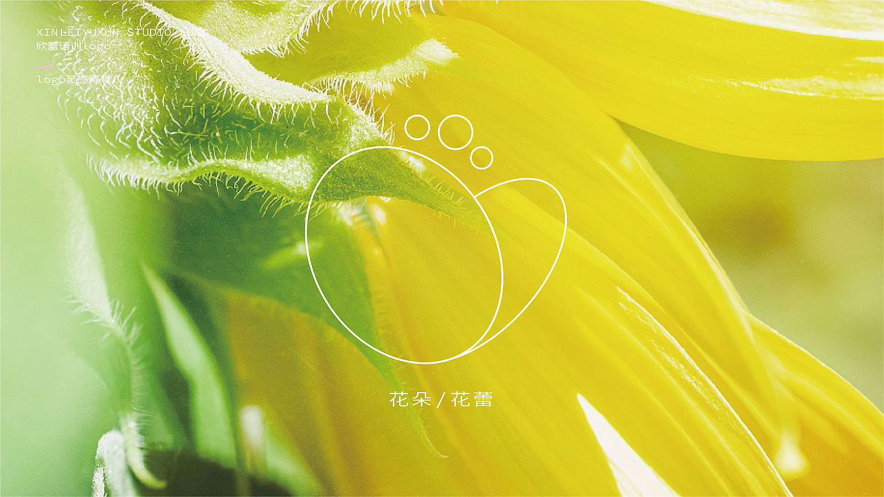 欣蕾语训logo-vi设计