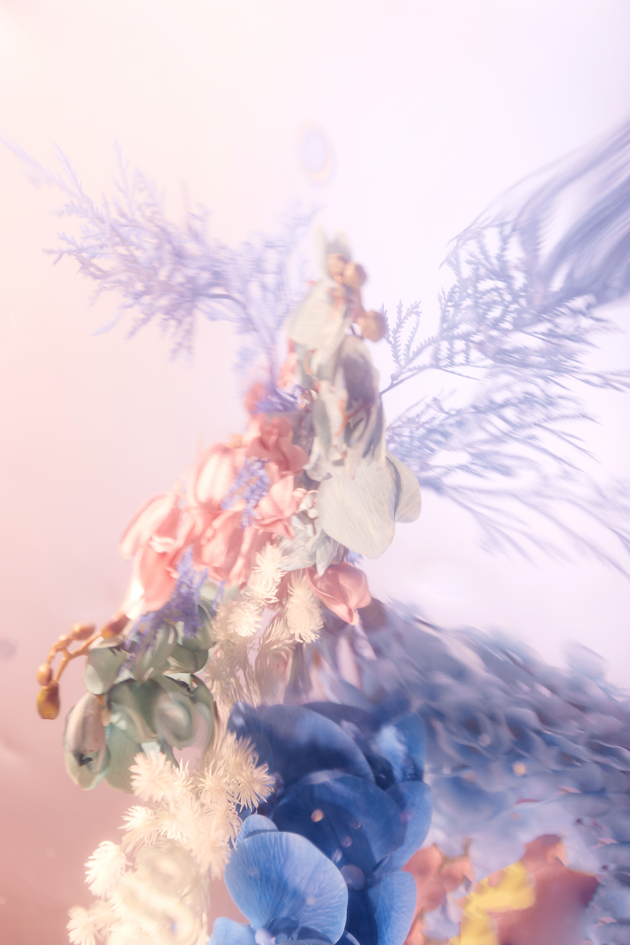 颜色比较淡雅的小片-花