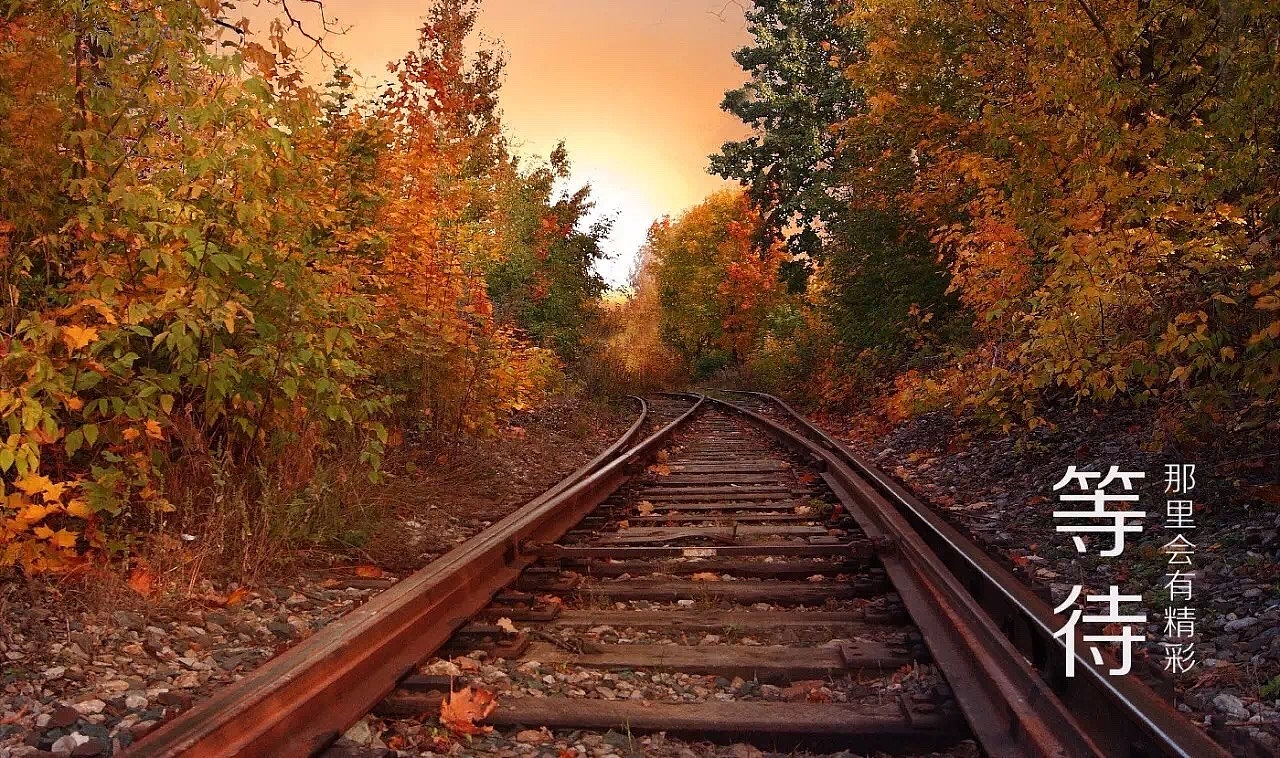 从一个城市到另一个城市
能带走的<br>也就那些零零散散的行李<br>在这里时盼望远方的天空<br>总觉得<br>那里会有精彩 <br>甚至奇迹在等着自己