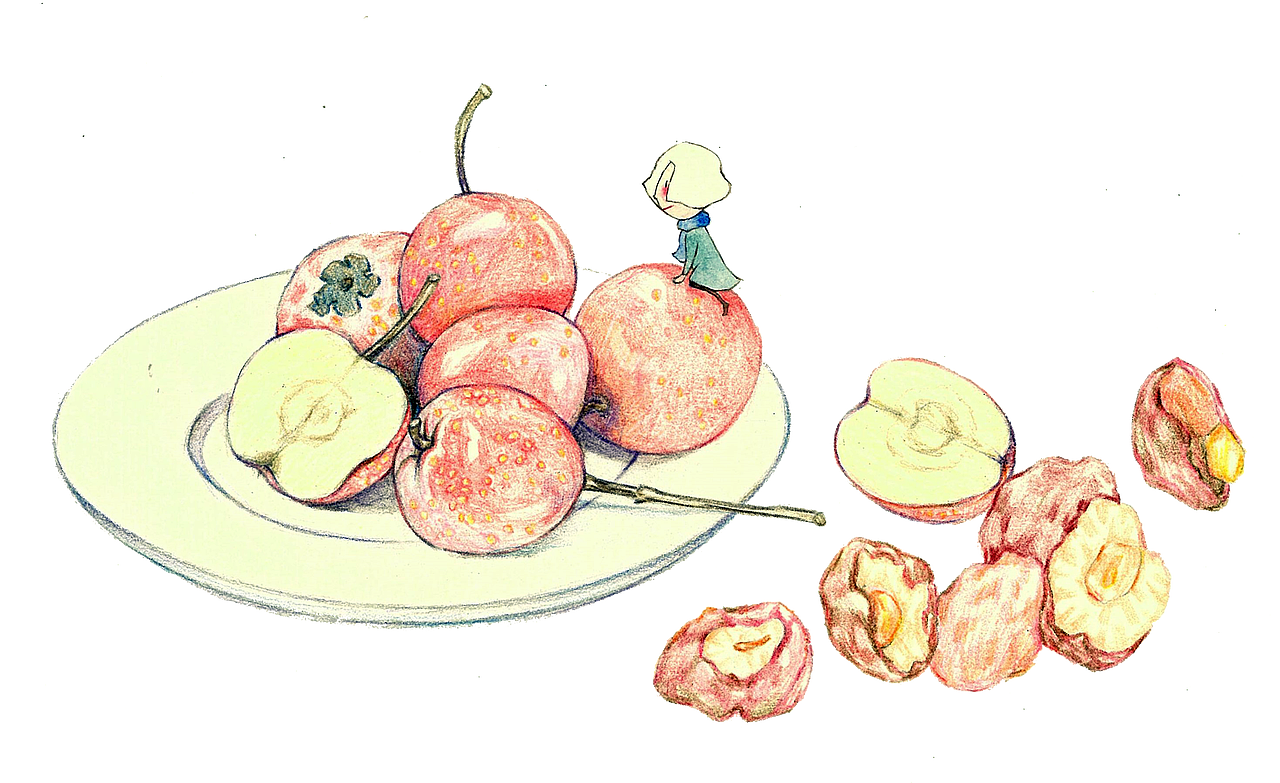 蜜饯插画（图ZNTAyOTM4OTI=） - 商业插画 - 站酷设计师Lisa家原创素材 - 站酷ZCOOL