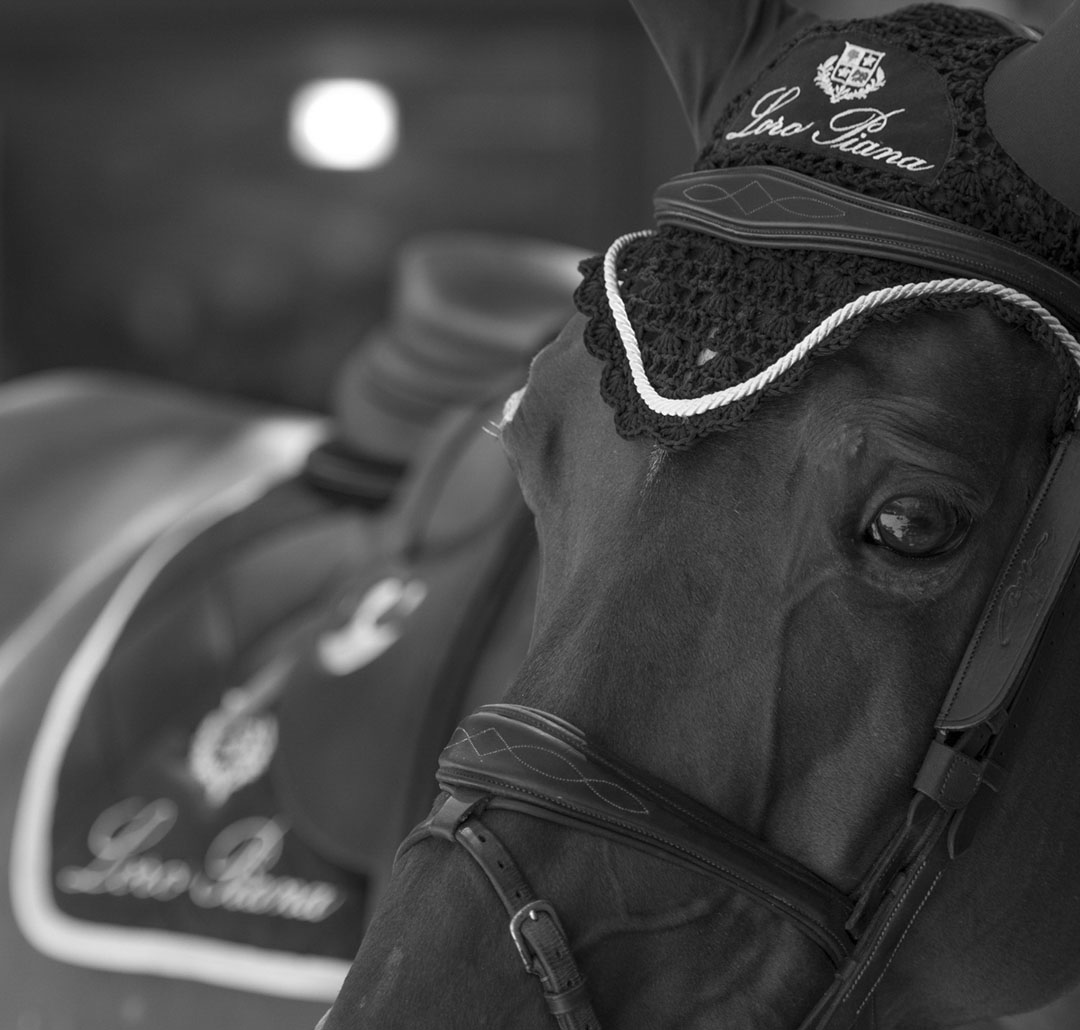 POP視戒的個(gè)人主頁(yè)（背景預(yù)覽） - 主頁(yè)背景設(shè)置 - 站酷設(shè)計(jì)師POP視戒原創(chuàng)素材 - 站酷ZCOOL