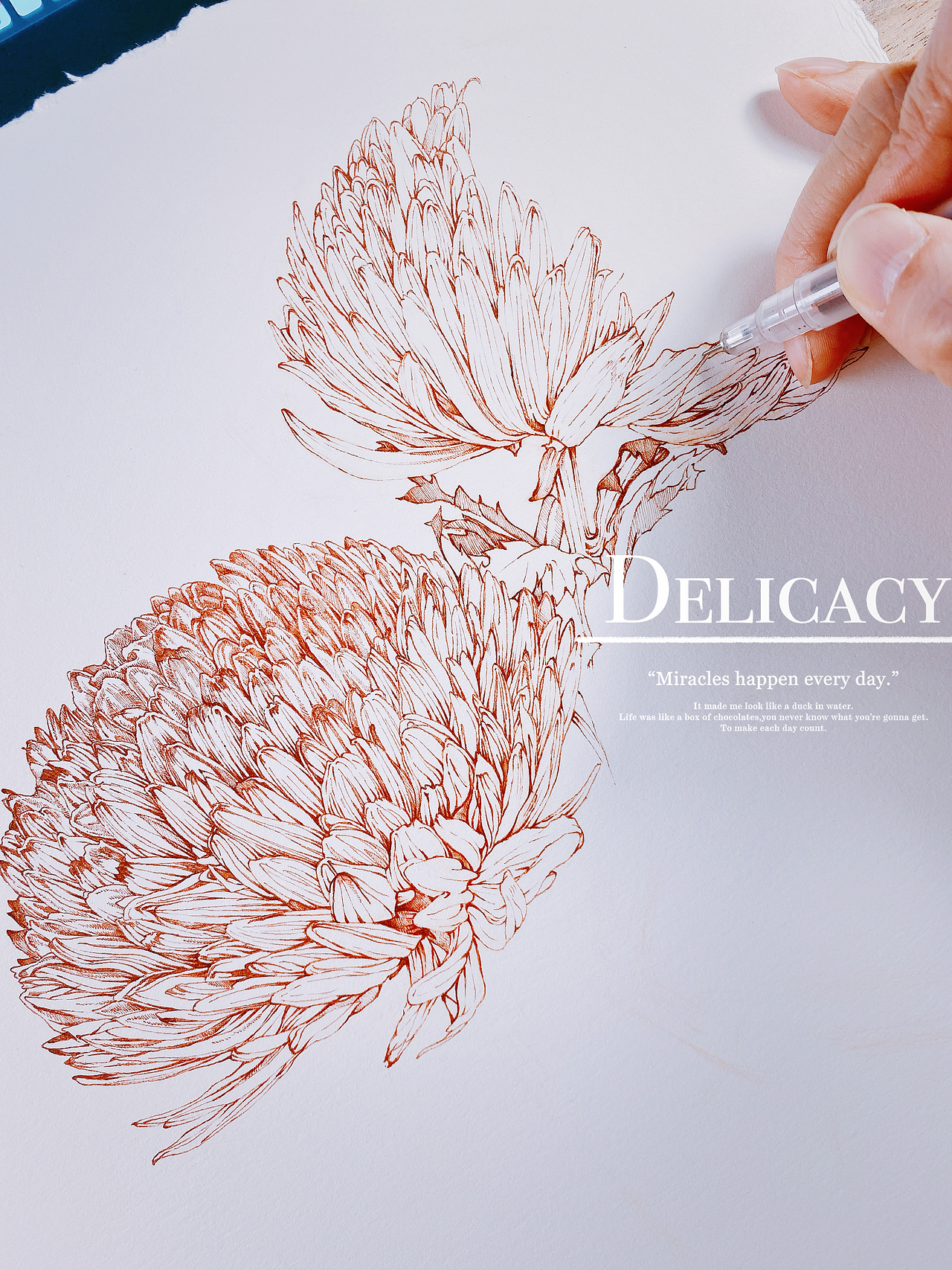 蘸水笔针管笔｜牡丹菊（吸色）