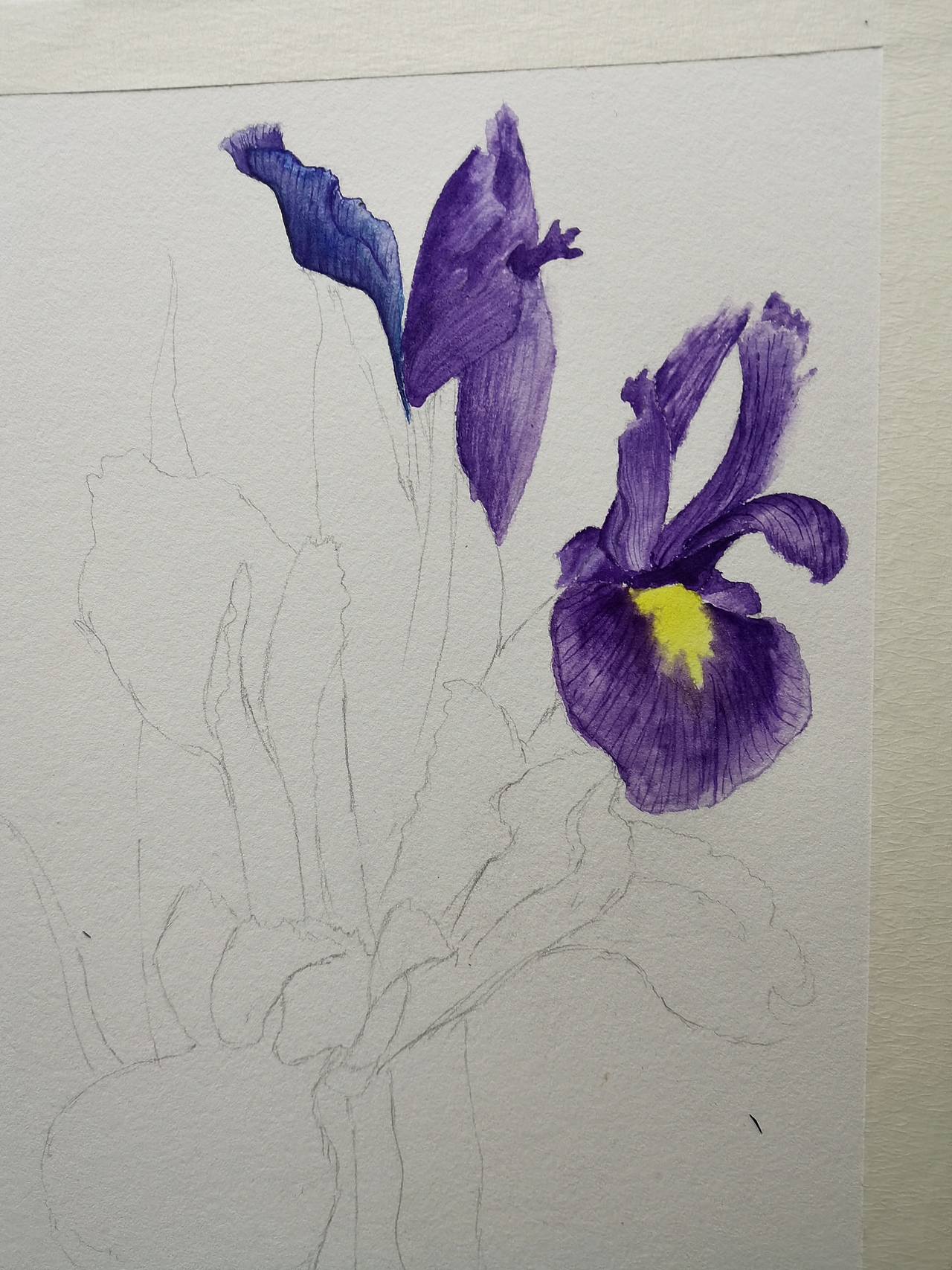 原创水彩作品（图ZMjg4MDMzOTYw） - 艺术插画 - 站酷设计师夏天的画原创素材 - 站酷ZCOOL