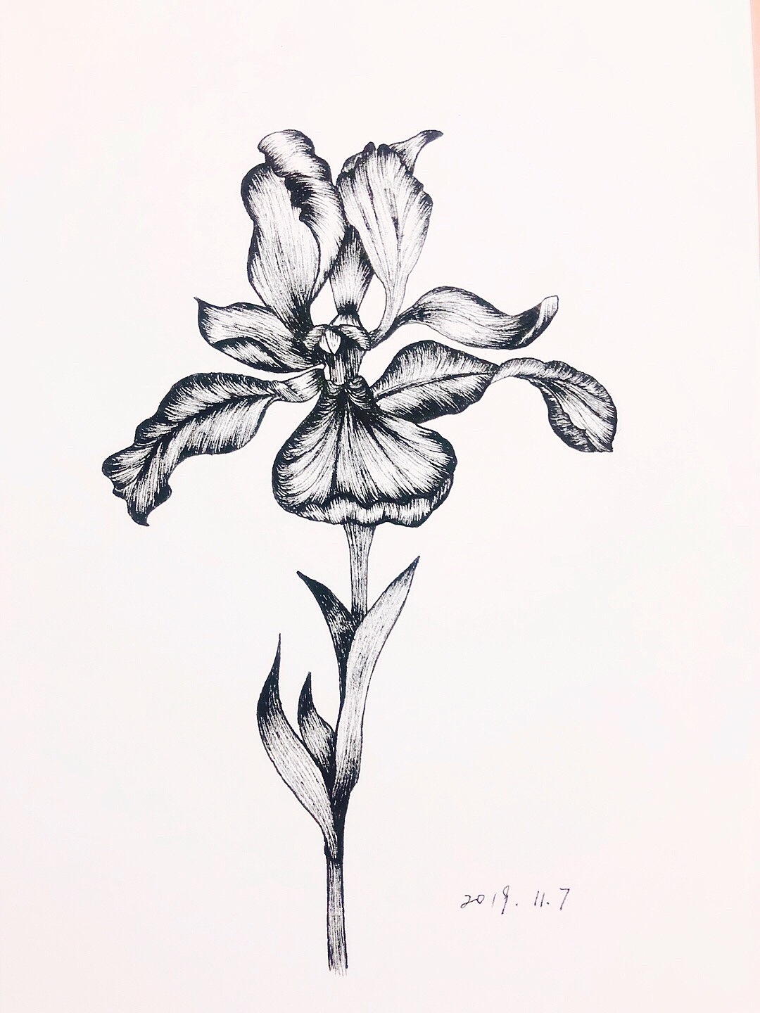 ✊（图ZMTk0NzE0Mzc2） - 艺术插画 - 站酷设计师T__K原创素材 - 站酷ZCOOL