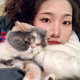 肥菌头大大的头像
