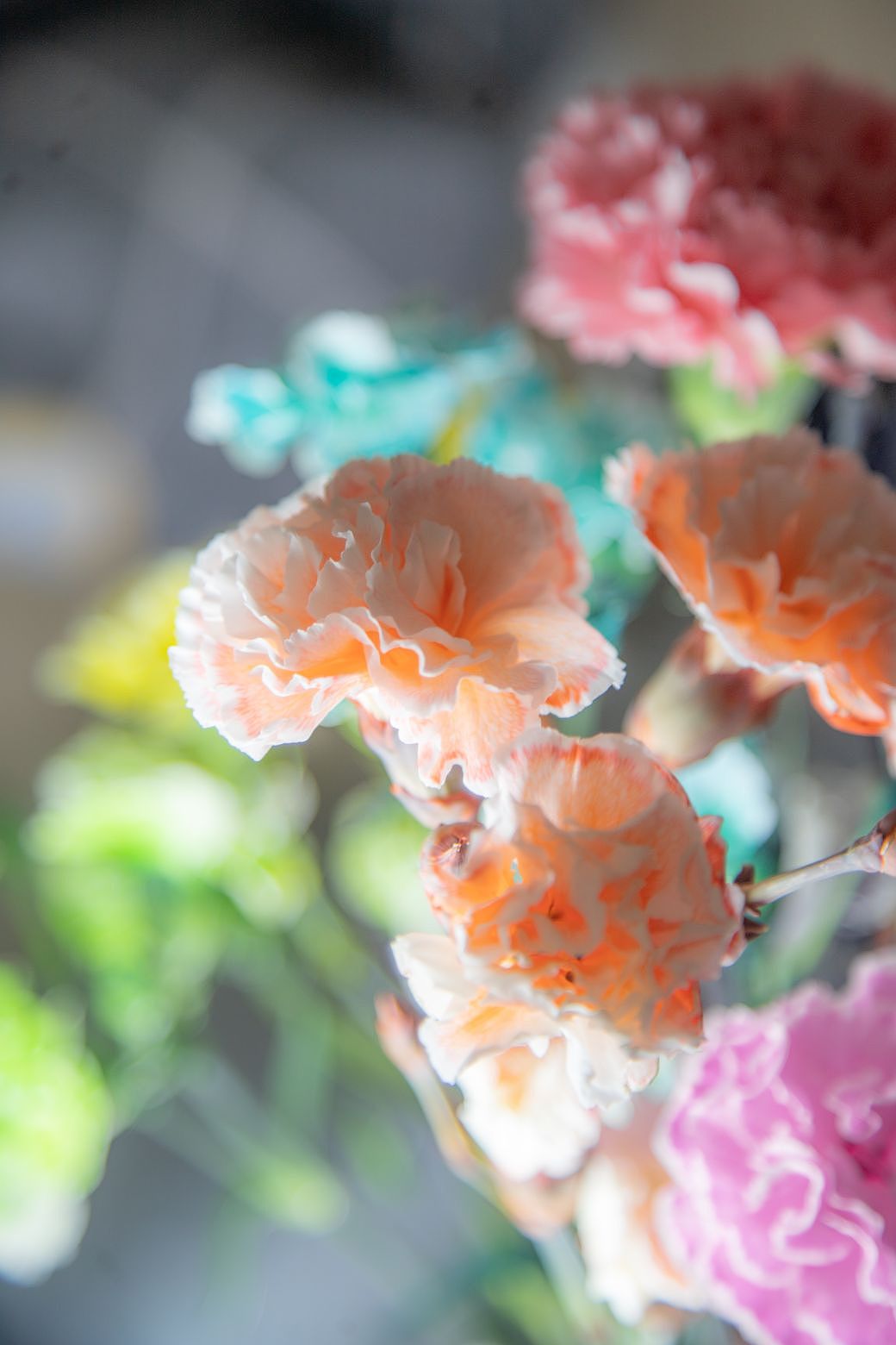 白色康乃馨染色作品（图ZMzYwNjAxMjUy） - 其他摄影 - 站酷设计师木糖醇饕餮原创素材 - 站酷ZCOOL