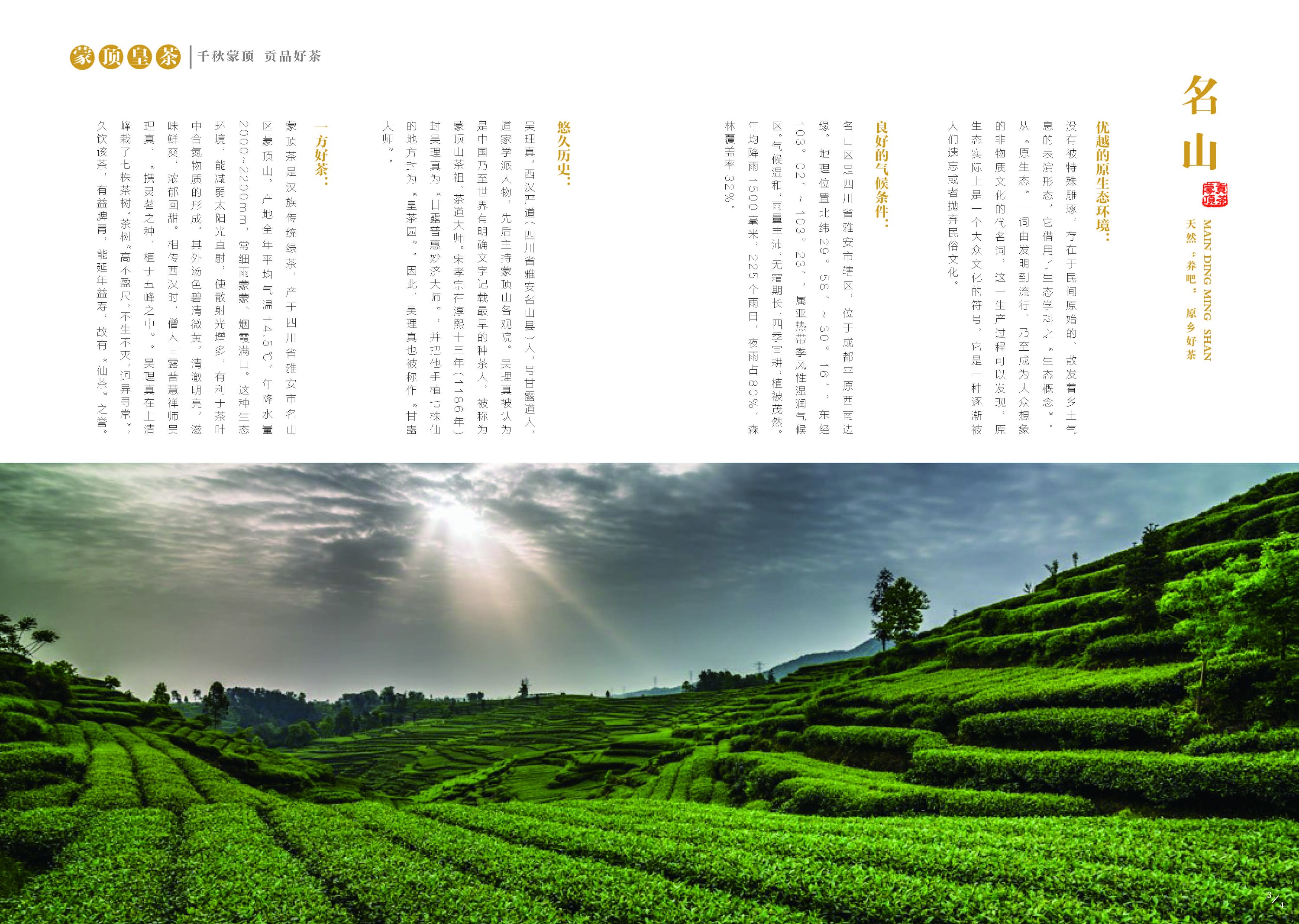 《蒙顶皇茶》宣传画册
