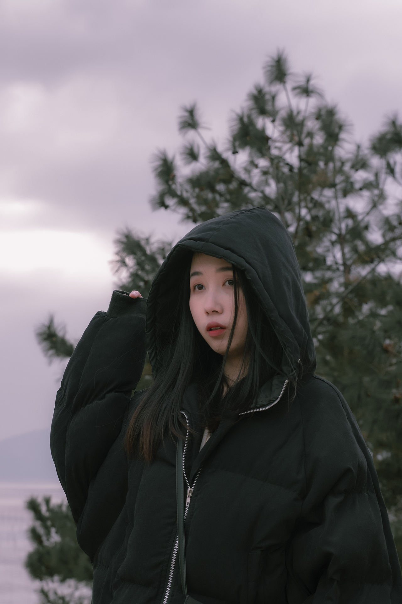 今日乐相乐。别后莫相忘「鲸摄」