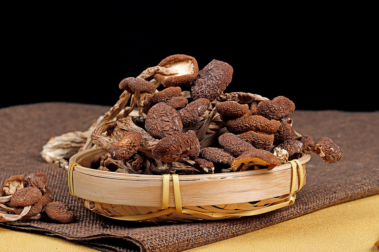 茶树菇-产品拍摄