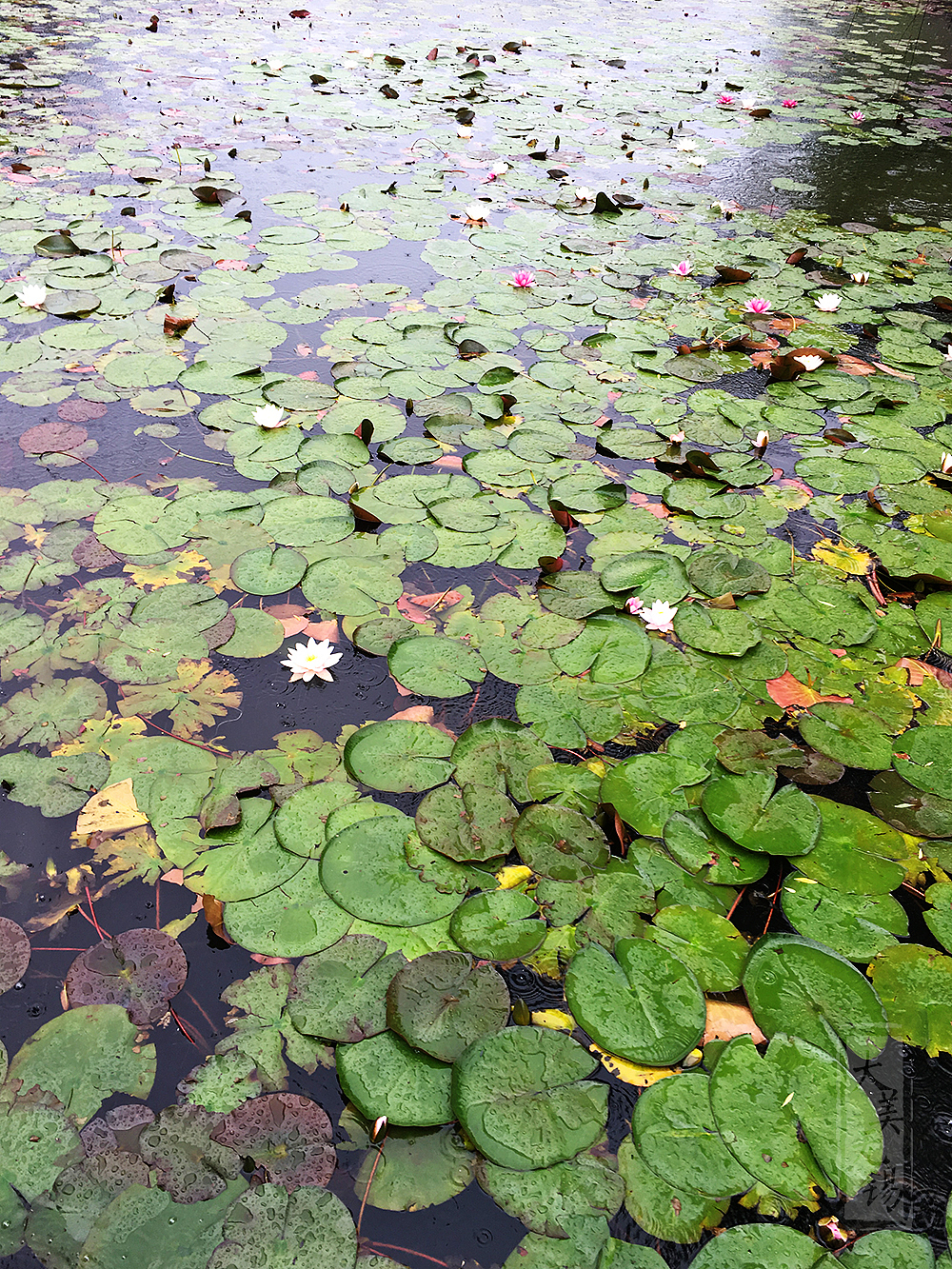 太湖明珠,大美无锡!