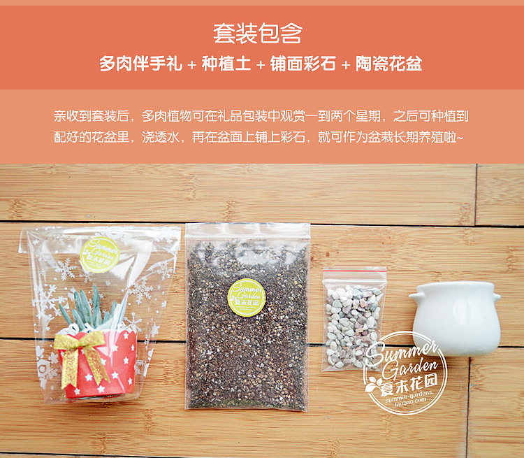 绿植手作之多肉伴手礼--《夏末花园成长日记14》（图ZMTg2NDQwNjA=） - 其他手工艺 - 站酷设计师zxsummer原创素材 - 站酷ZCOOL