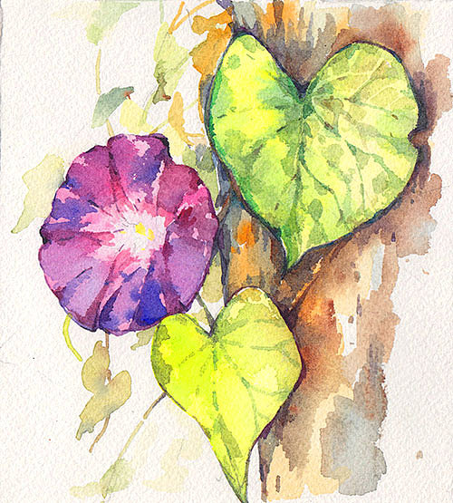 一些水彩植物（图ZMzM3NzUwNjA=） - 创作习作 - 站酷设计师一点张原创素材 - 站酷ZCOOL