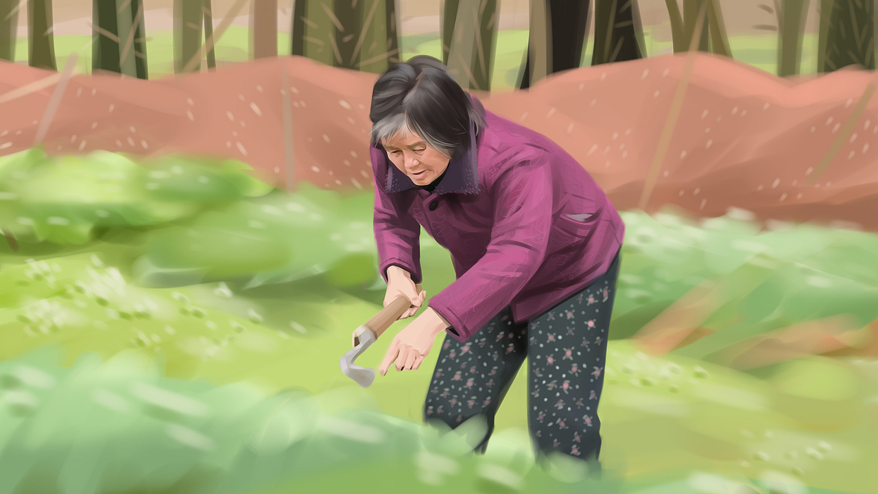 奶奶料理菜园（图ZMjg5NzY5MjAw） - 创作习作 - 站酷设计师aszzz原创素材 - 站酷ZCOOL