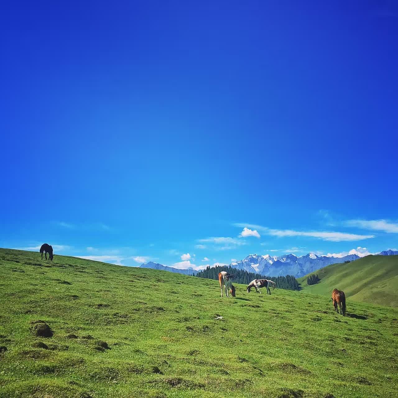 如山间清爽的风,如古城温暖的光。