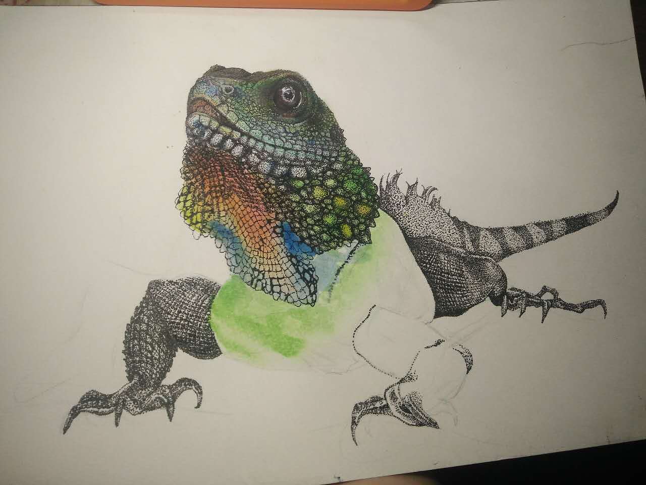 点绘蜥蜴