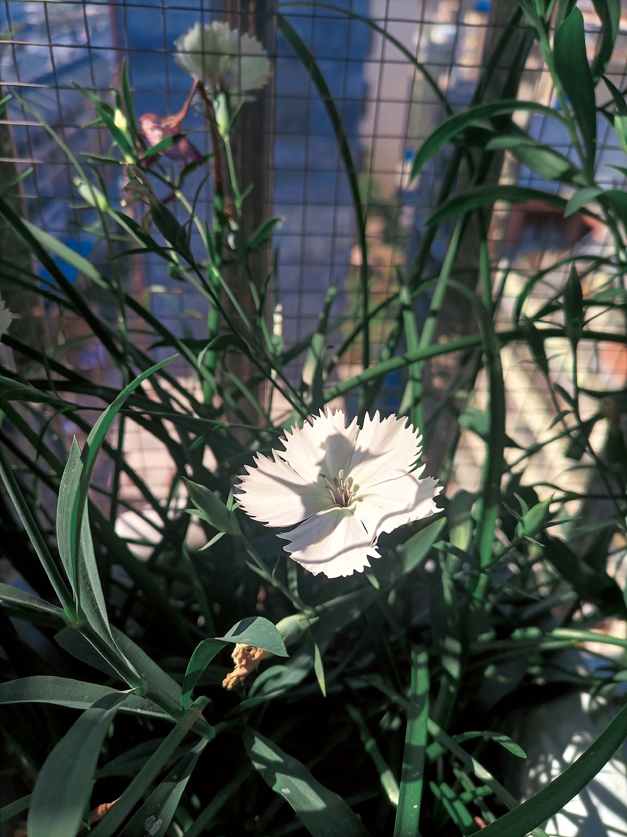 摄影观光（图ZMjUyMzU1NjIw） - 风光摄影 - 站酷设计师C肉肉原创素材 - 站酷ZCOOL