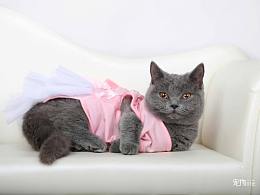 那啥，是衣服自己溜下去的，我绝对没有碰它，绝对！