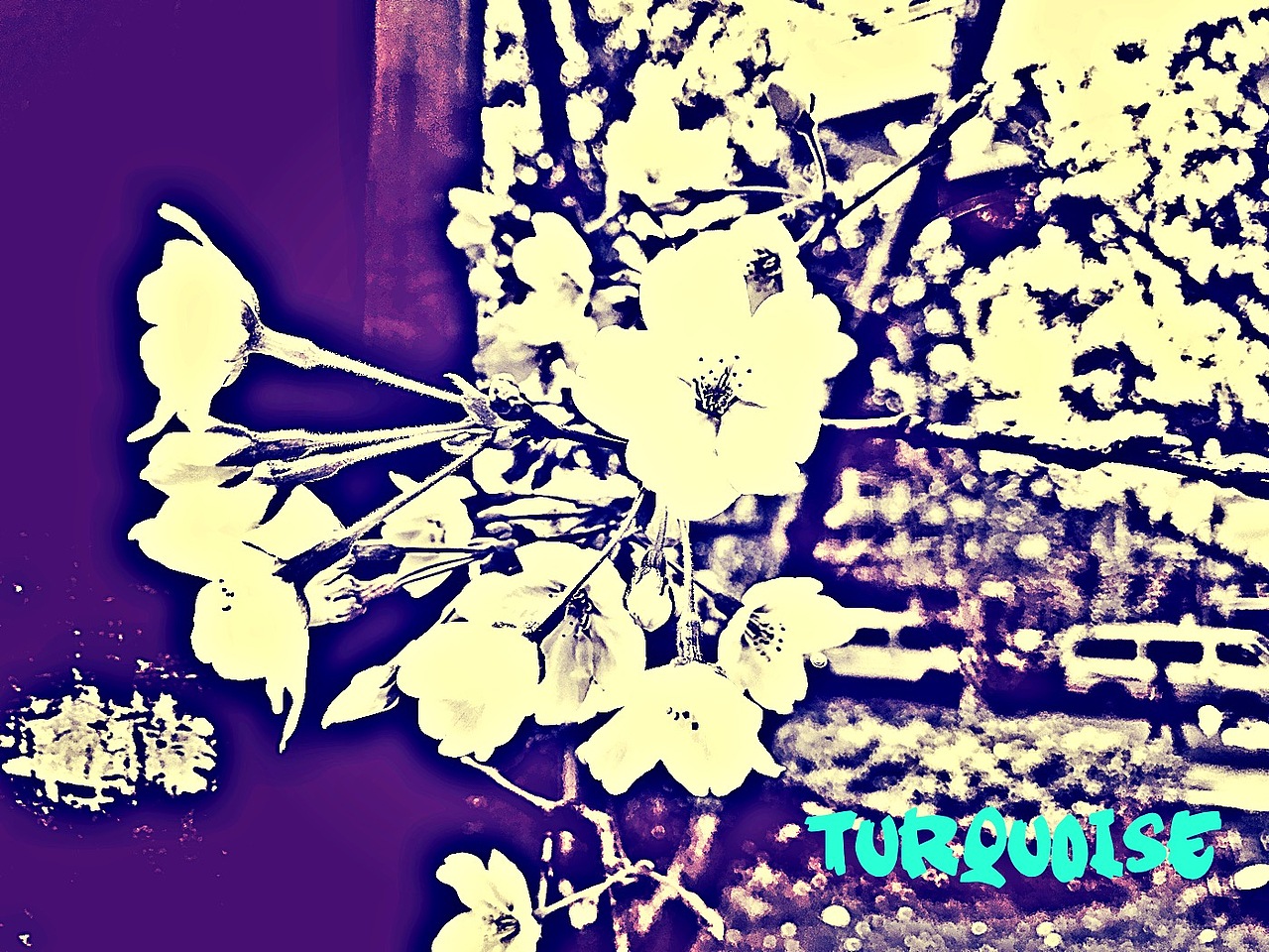 喜欢随拍的我....然后把这些图变成自己喜欢的感觉…