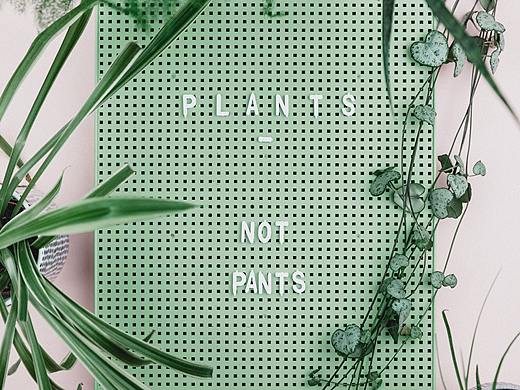 小清新（個(gè)人主頁-ZMzQ1NzUwNTY=） - APP界面 - 站酷設(shè)計(jì)師UI19原創(chuàng)素材 - 站酷ZCOOL