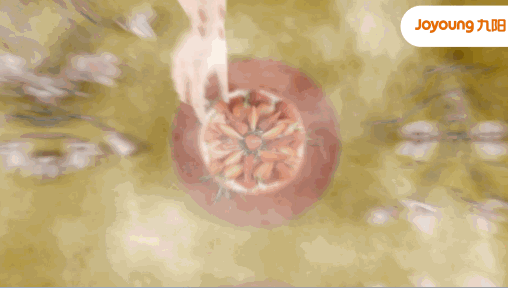 电商视频 | 九阳心愿饭煲（图ZMzAyNjI1MTky） - 短片 - 站酷设计师MacyL原创素材 - 站酷ZCOOL