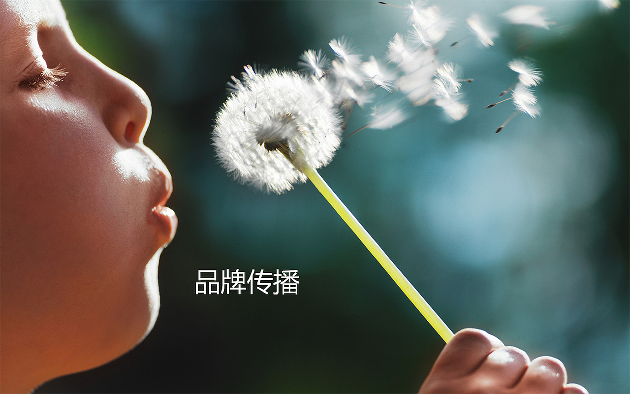 设计提案，三选一您喜欢那个？（图ZOTI3MDc4MDQ=） - 品牌 - 站酷设计师UCI联合创智设计原创素材 - 站酷ZCOOL