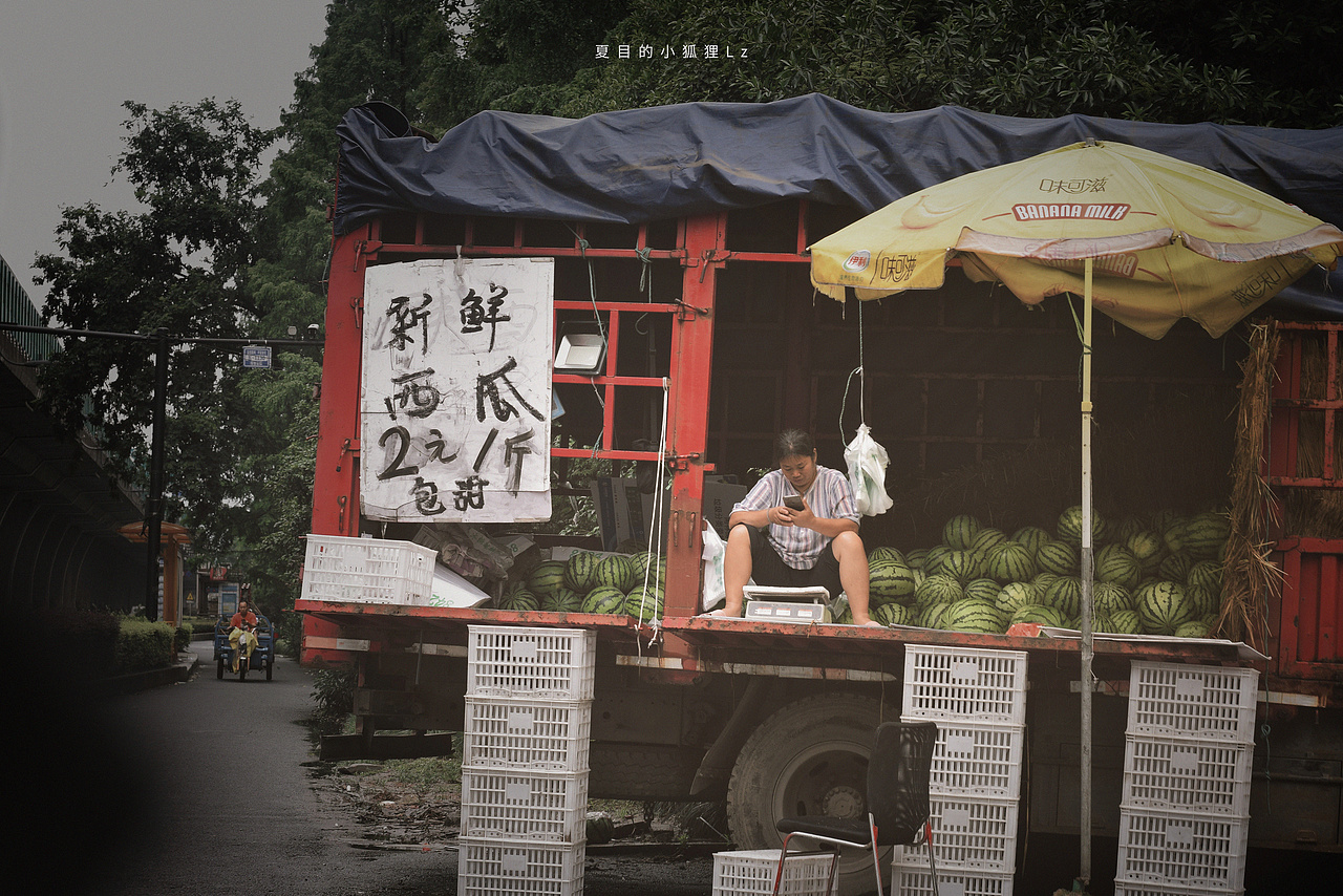 听说燕子到房梁下筑巢会带来幸运