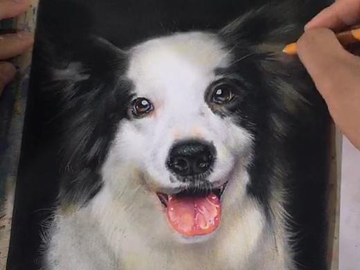 彩鉛狗狗（個(gè)人主頁(yè)-ZMzU2ODEyNTY=） - 繪畫(huà) - 站酷設(shè)計(jì)師北京三人行畫(huà)室原創(chuàng)素材 - 站酷ZCOOL