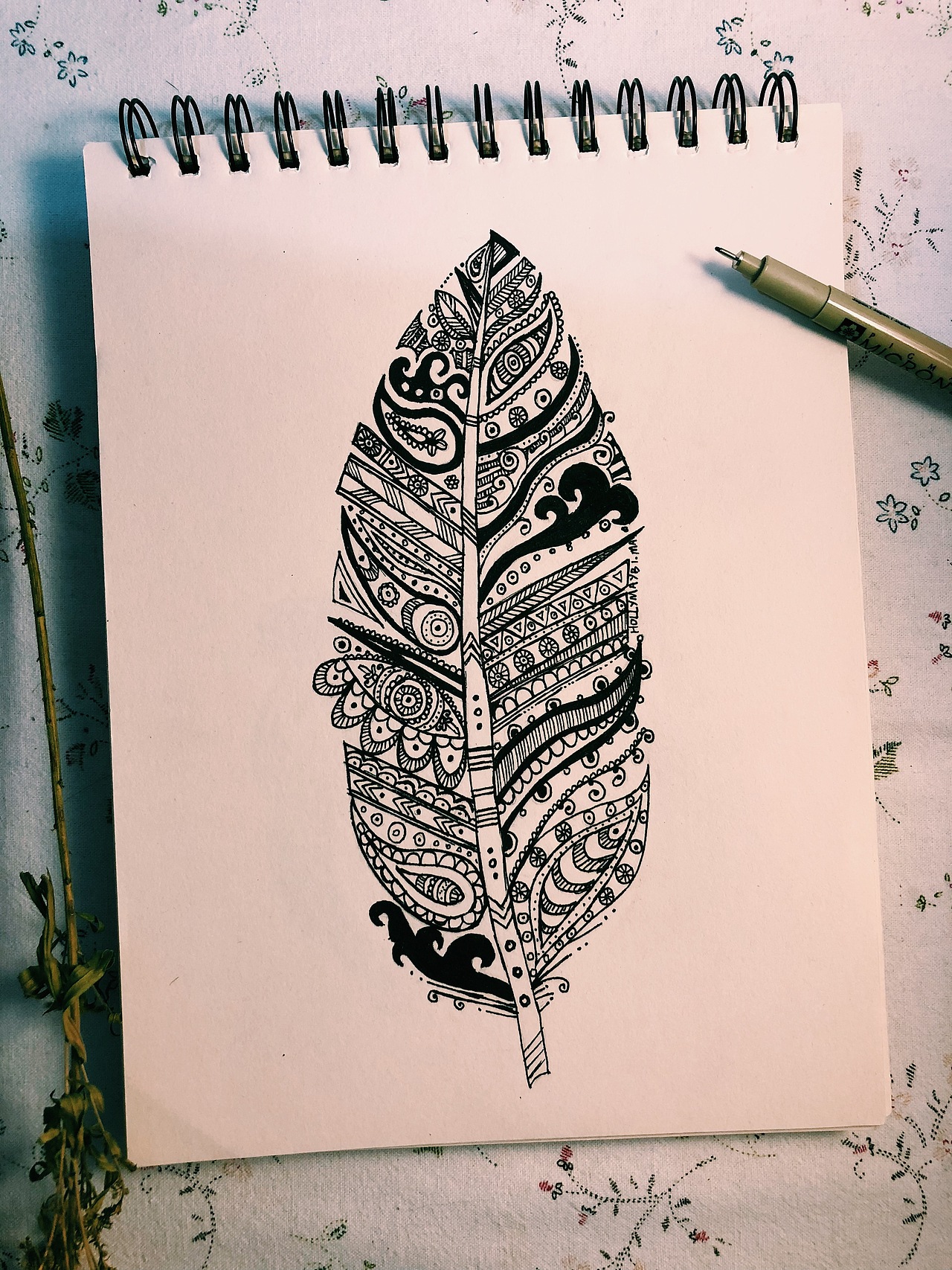 针管笔插画