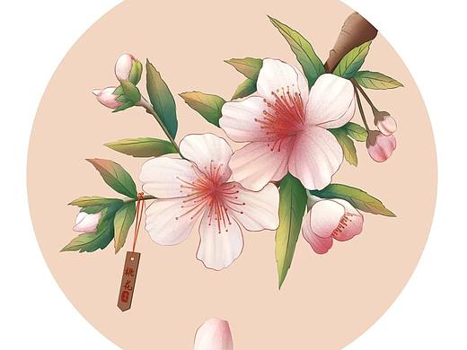 植物插画（个人主页-ZNjQyODE4ODg=） - 商业插画 - 站酷设计师QQ弹跳跳糖原创素材 - 站酷ZCOOL