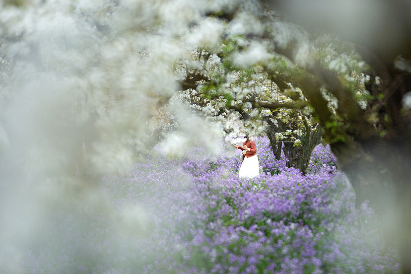 梨兰会（图ZMzY2MzQyNjIw） - 风光摄影 - 站酷设计师一切kkk原创素材 - 站酷ZCOOL