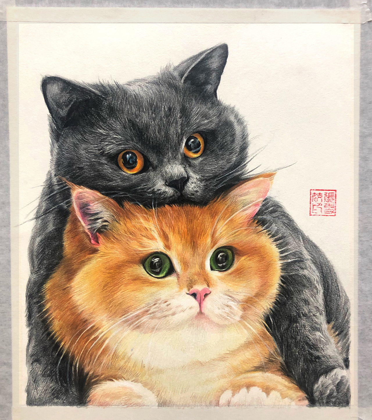 猫猫彩铅写生