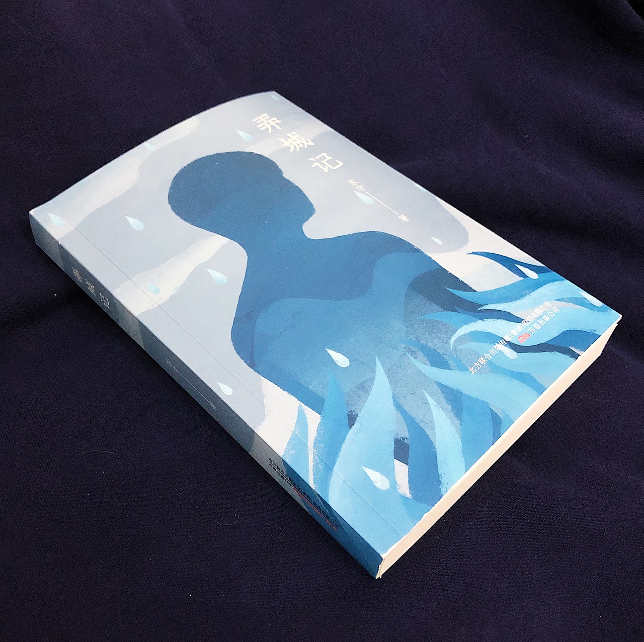 《弄城记》装帧设计（图ZMTkyMjIwNjk2） - 书籍/画册 - 站酷设计师沉清Evechan原创素材 - 站酷ZCOOL