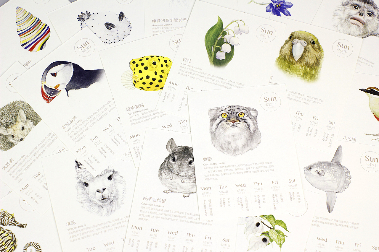 2017物种日历（图ZNjEyMDI4OTY=） - 海报 - 站酷设计师b_yy原创素材 - 站酷ZCOOL