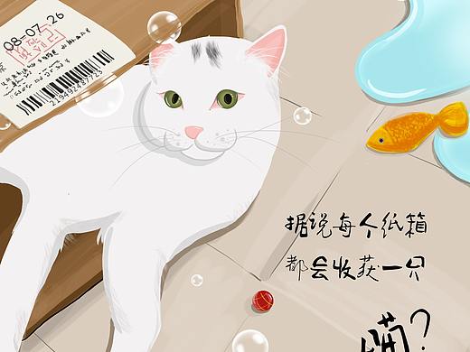 我家猫咪与快递箱