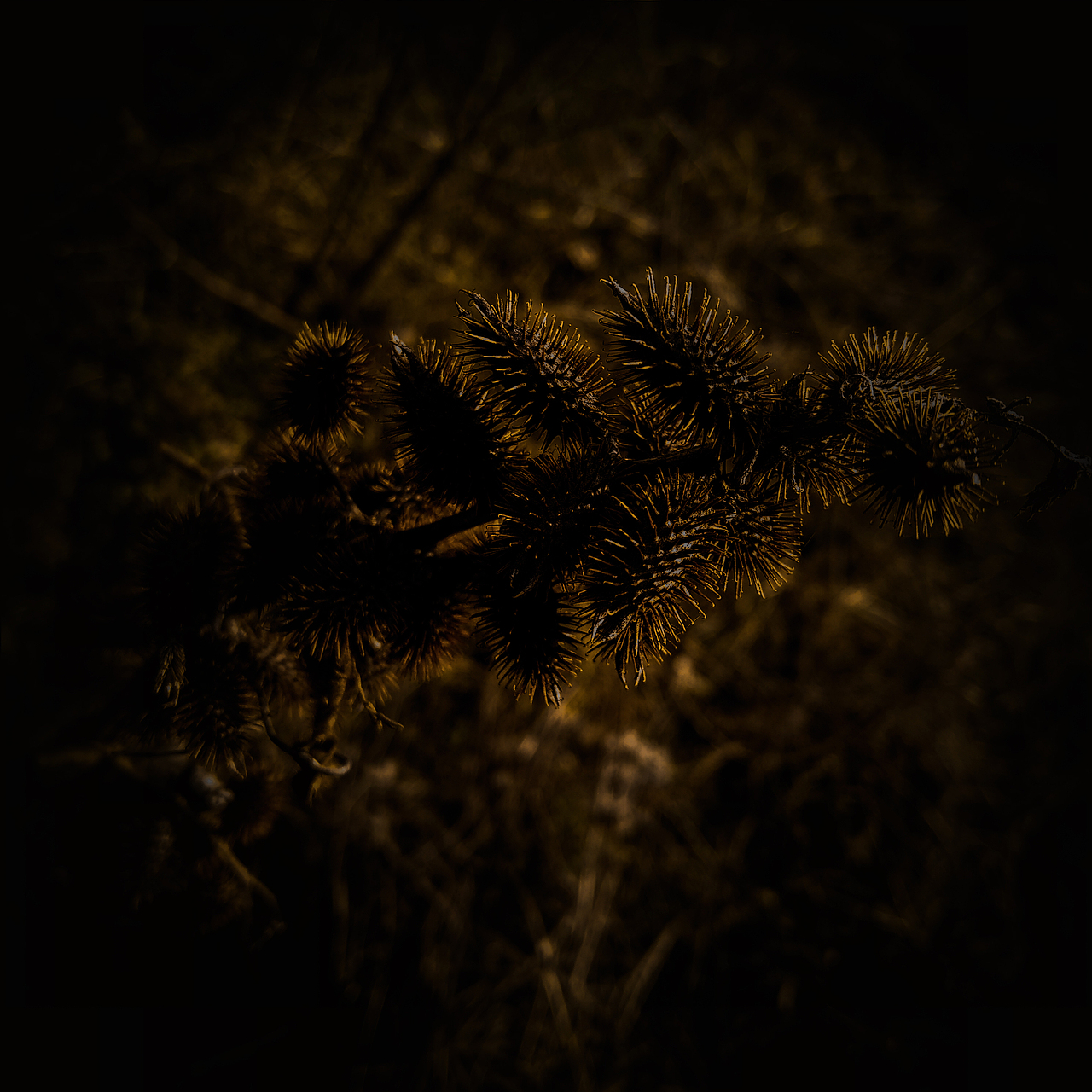 被忽视的自然美（图ZMTI0OTU3NTQw） - 风光摄影 - 站酷设计师Jauver原创素材 - 站酷ZCOOL