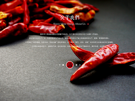 火锅底料飞机稿