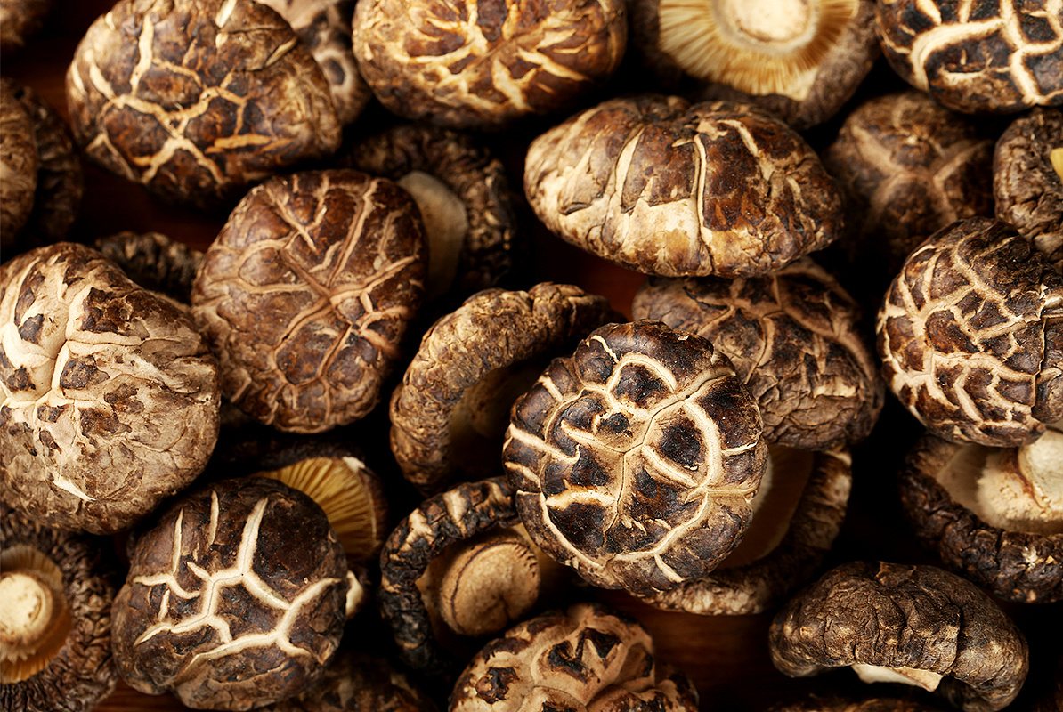 超过 100 张关于“香菇”和“蘑菇”的免费图片 - Pixabay