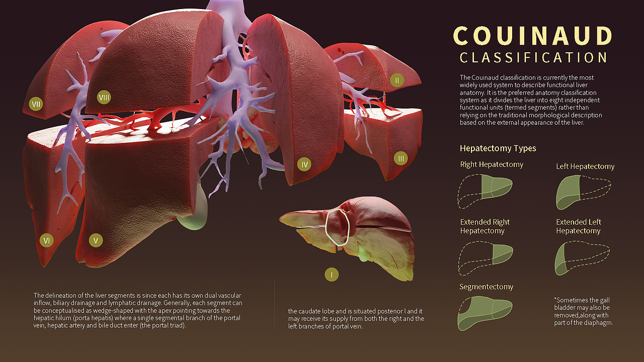 医学插画类3D练习整理