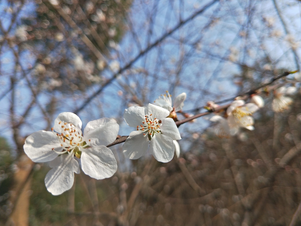 这个季节,约好的。