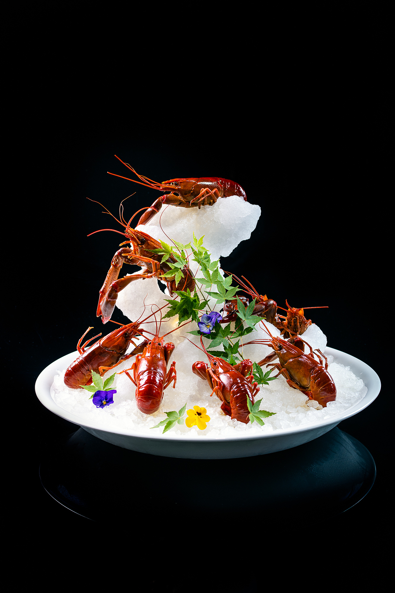 菁禧荟（图ZMjE0OTQzODg4） - 产品摄影 - 站酷设计师五行缺肉海鲜天敌原创素材 - 站酷ZCOOL