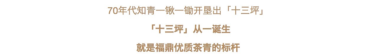 有颜有质，所以任性——海设计「大沁」剧场（图ZNjkyMDc1MDg=） - 品牌 - 站酷设计师萧远海品牌设计所原创素材 - 站酷ZCOOL