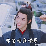 头秃的西红柿的头像